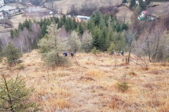 IMG-20170204-WA0013