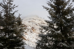 IMG-20170204-WA0021