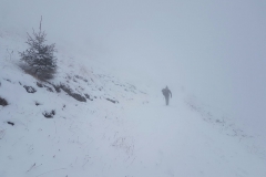 IMG-20170204-WA0028