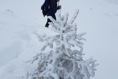 IMG-20170204-WA0034